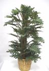 Split Leaf Philo on pole